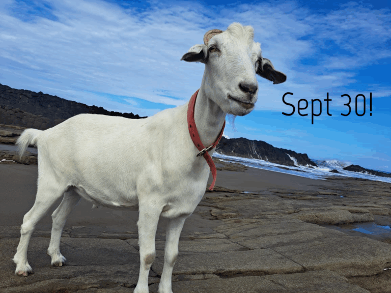 Opening Sept 30